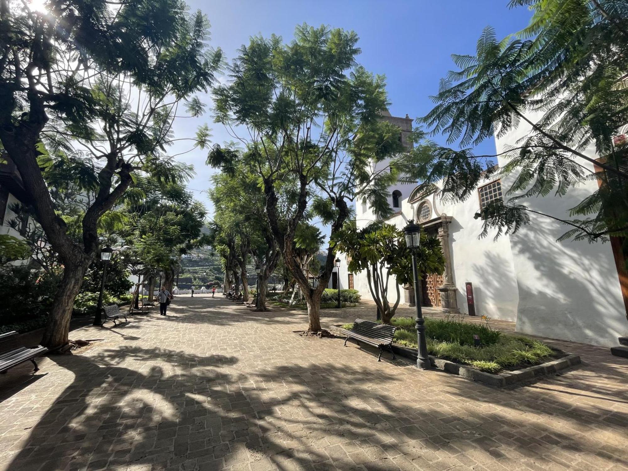 Rooftop View Escape - 1 Minute To Center And Fast Wi-Fi - Special Low Season Price For May And June Icod De Los Vinos Extérieur photo